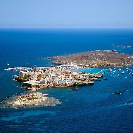 Very Lightful Apartment. Incredible Sea Views. Big Terrace, Swimming Pool. Ac. Very Close To Alicante City Center. Εξωτερικό φωτογραφία